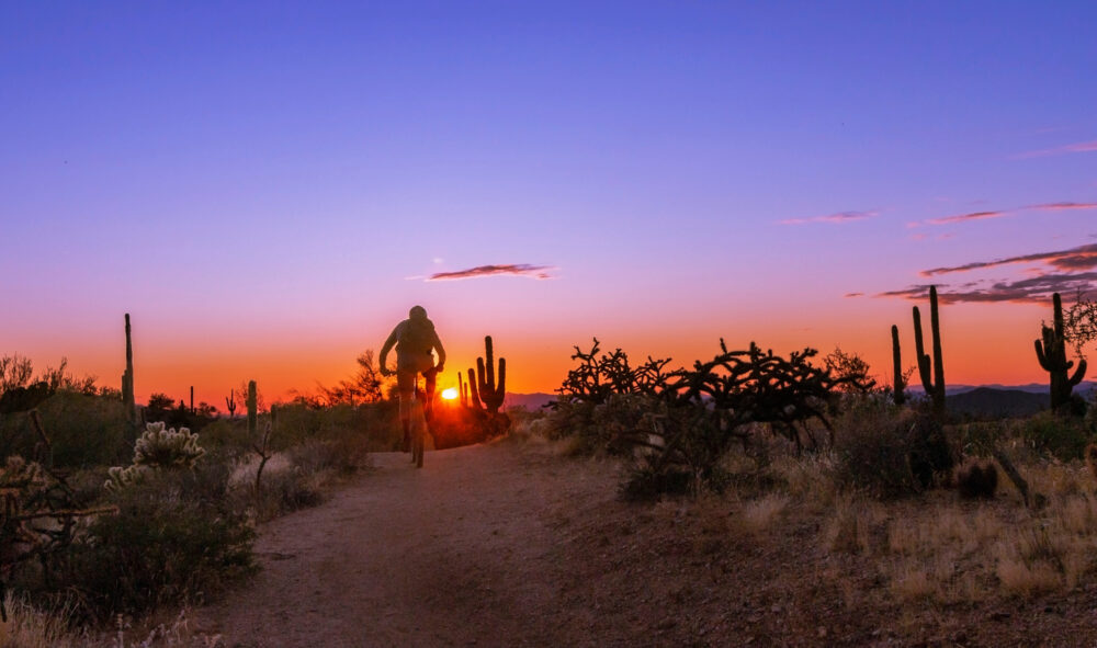 Desert Trail In Scottsdale, Az Near Sunset