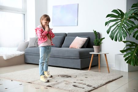 Affordable Carpet Cleaning Services