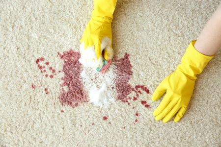 Carpet Stain Removal