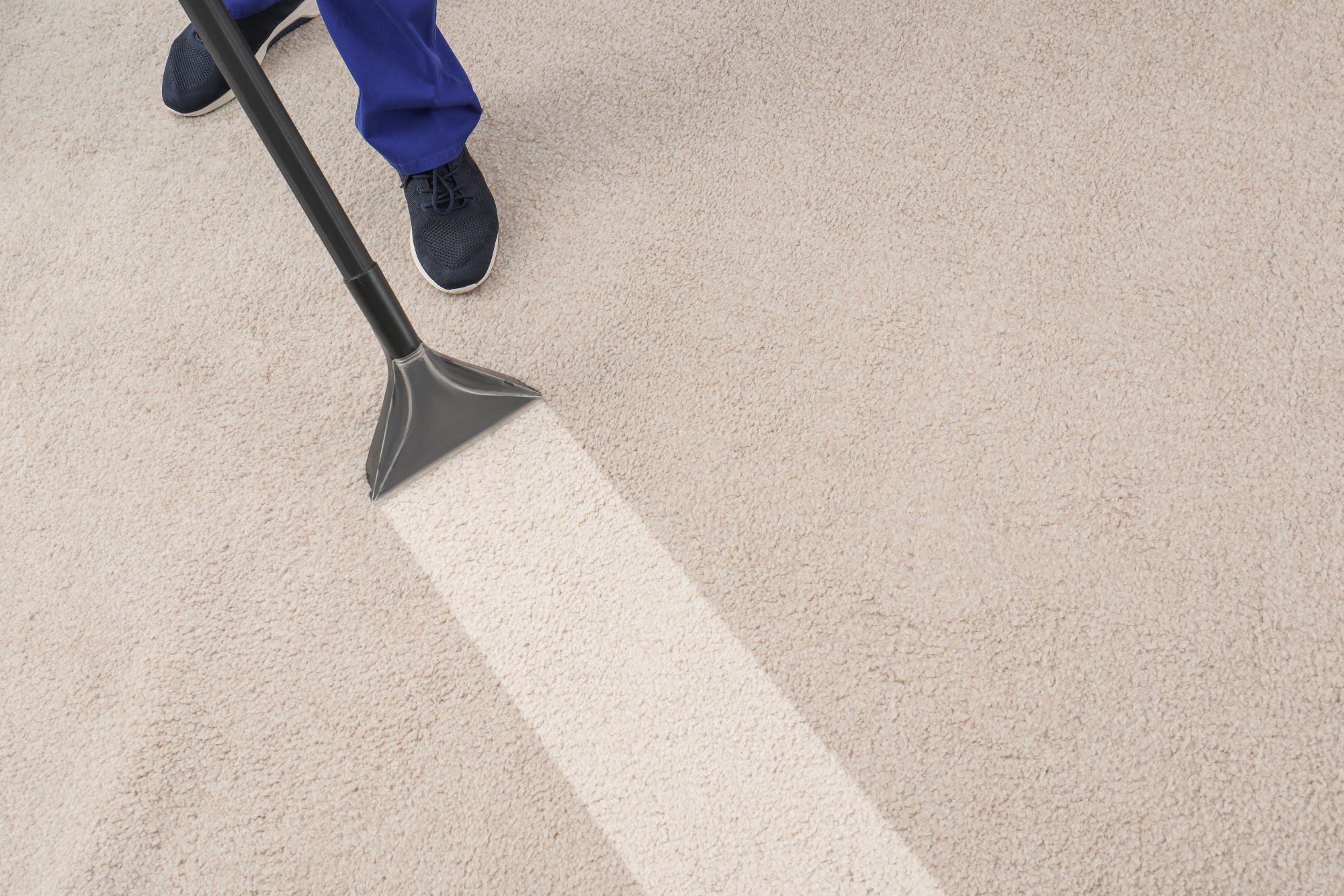 Carpet Cleaning Companies