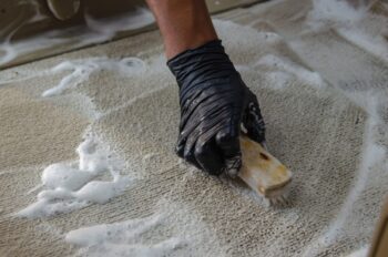 carpet cleaning gilbert