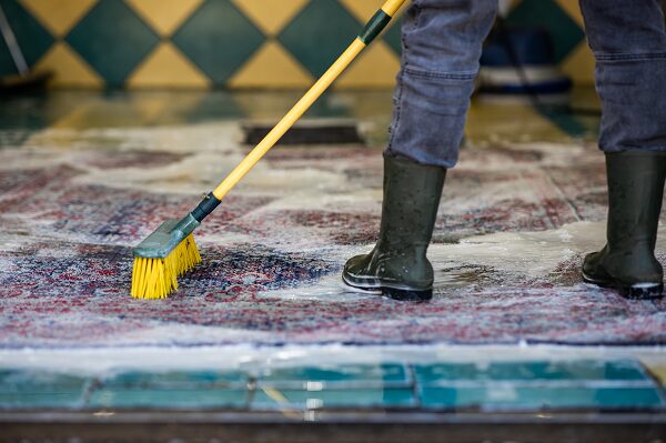 carpet cleaning near me gilbert